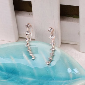 Bar Shape Crystal Earrings